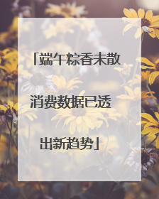 端午粽香未散 消费数据已透出新趋势